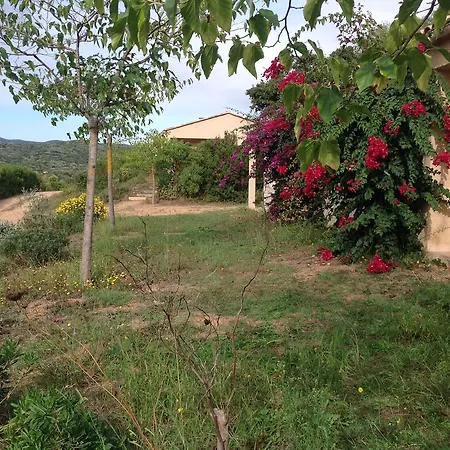 Cucunacciu * Cargèse