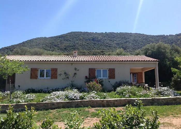 Cucunacciu Apartment *
