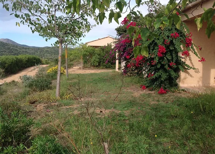 Cucunacciu * Cargese