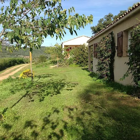 Lägenhet Cucunacciu